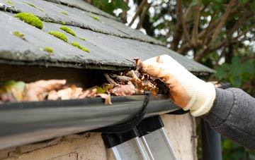 gutter cleaning West Mains